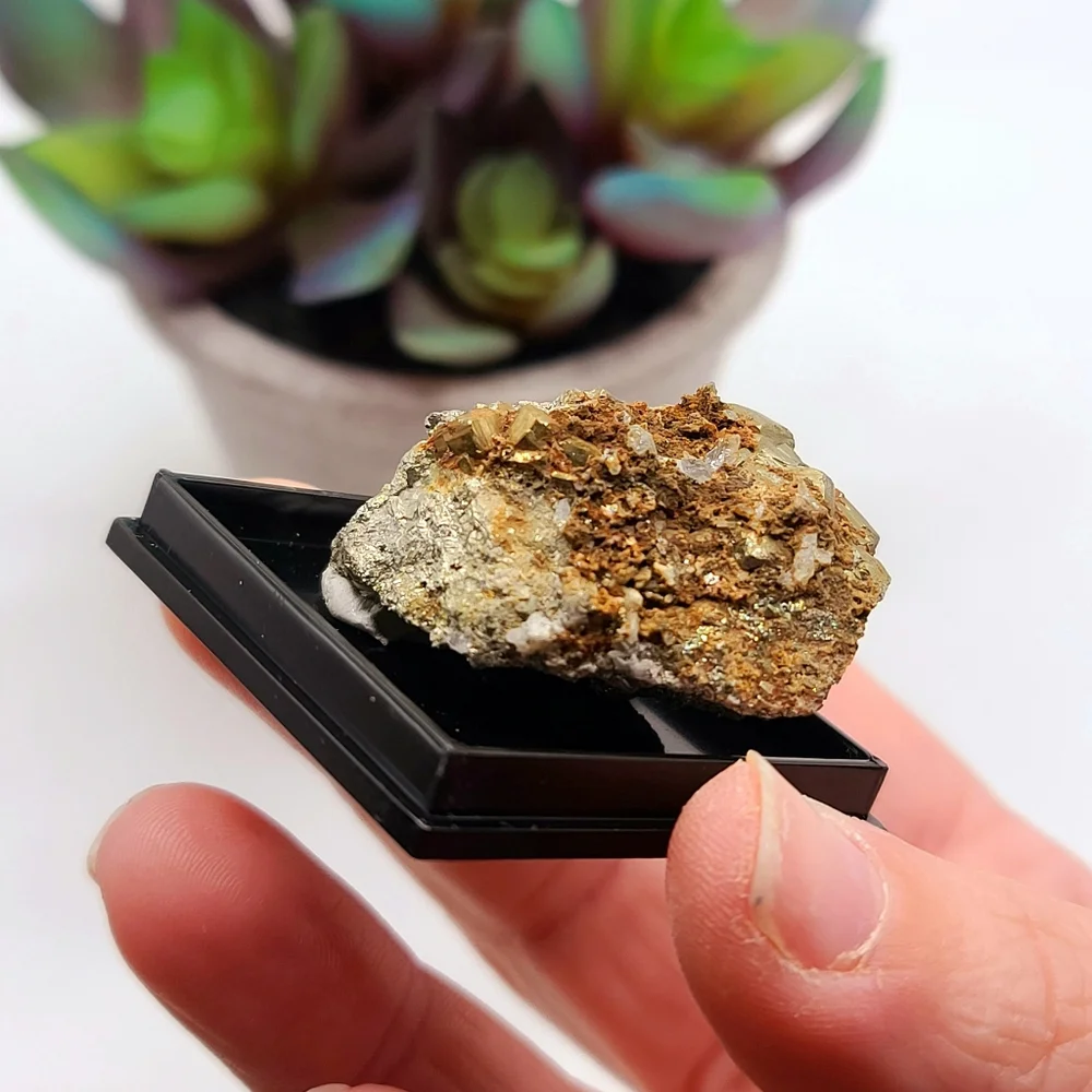 USA Pyrite Crystal Mineral Specimen from Tennessee - Old Stock